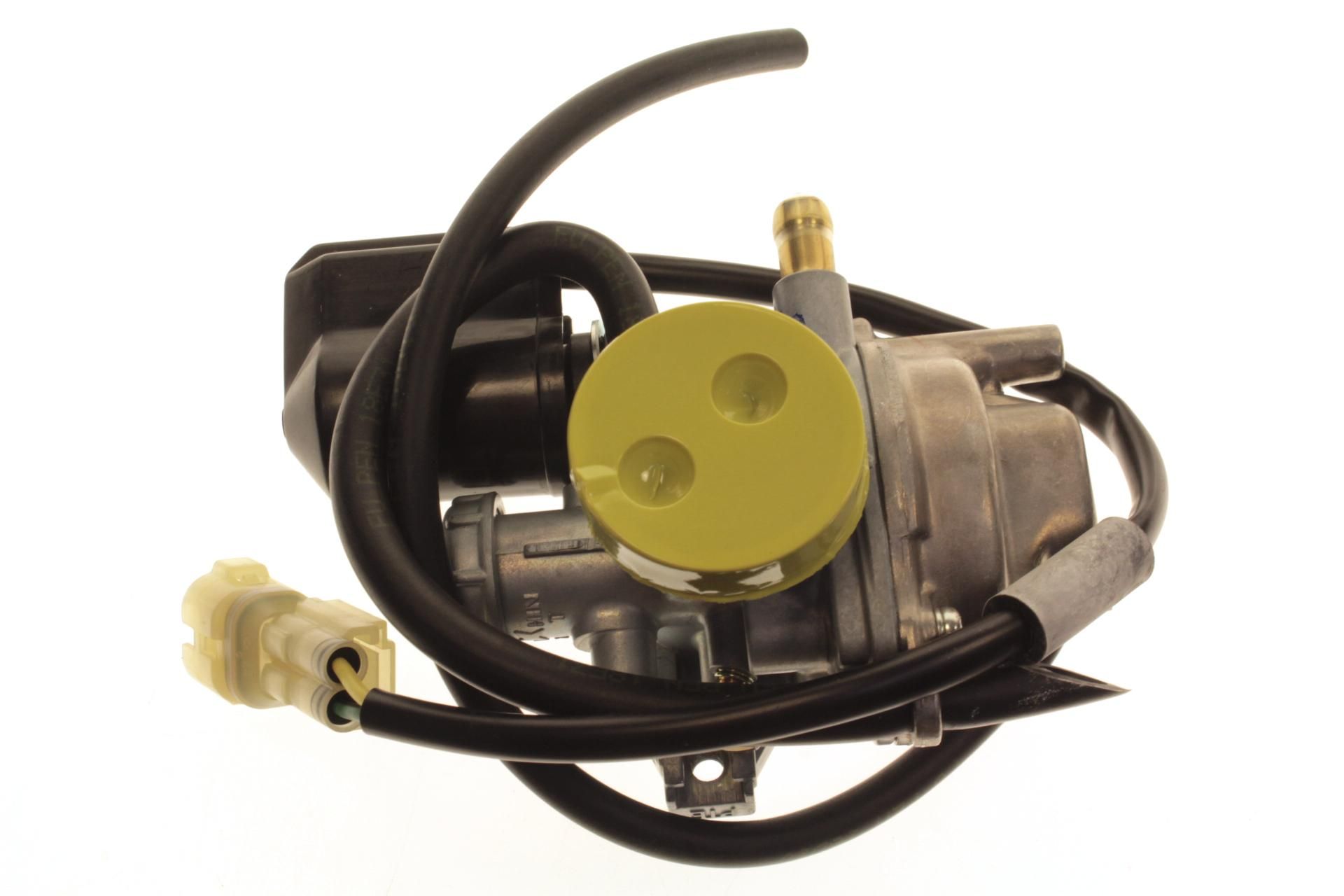 3303-405 Complete Carburetor Assembly