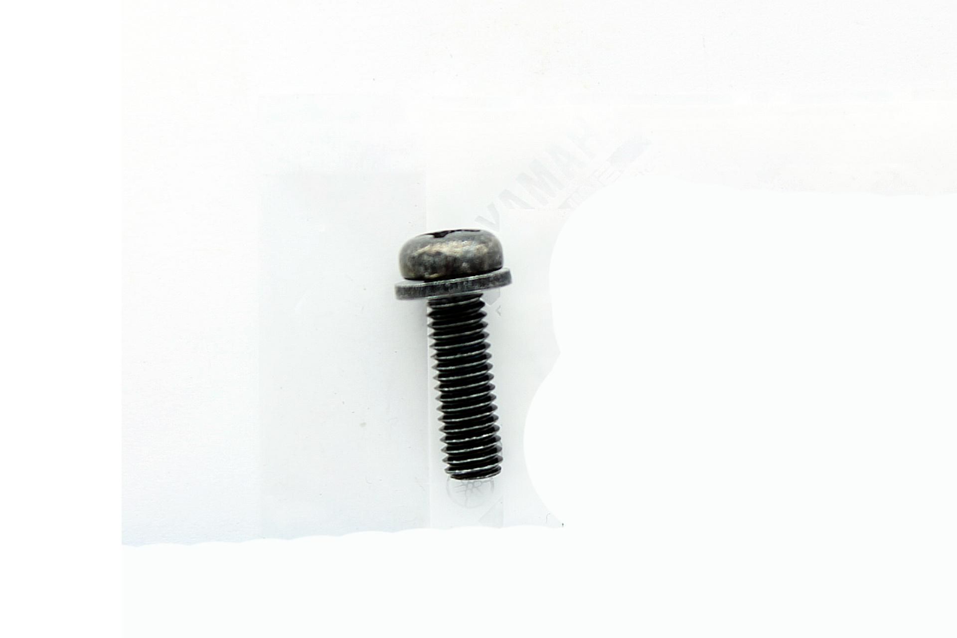 97607-06220-00 SCREW, WITH WASHER