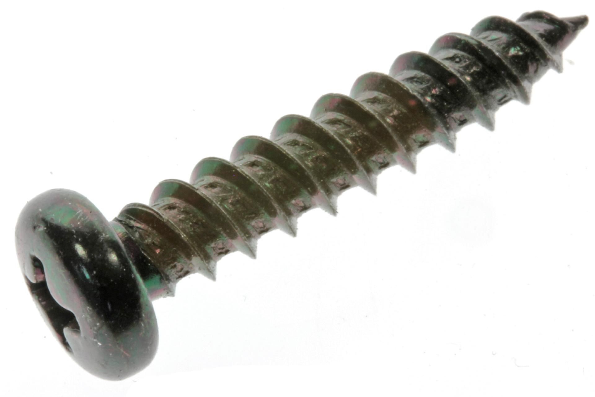 0450076 Screw, Tapping