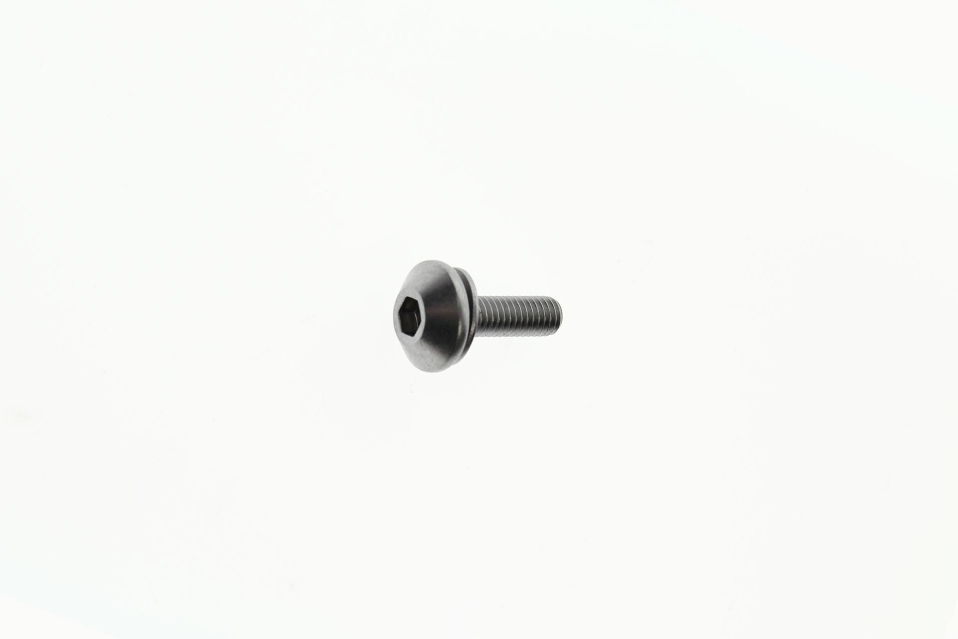 90159-06005-00 SCREW, WITH WASHER