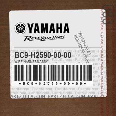 BC9-H2590-00-00 WIRE HARNESS ASSY