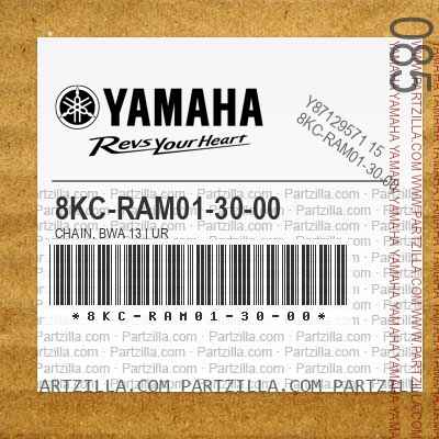 8KC-RAM01-30-00 CHAIN, BWA 13 | UR