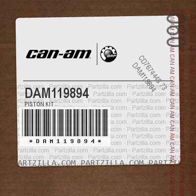 DAM119894 Piston Kit