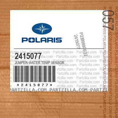 Polaris Screen Fuel Strainer PN 3050144