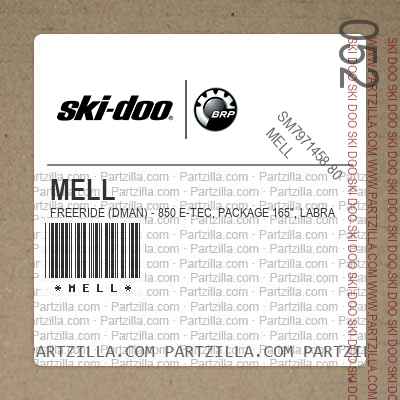 MELL FREERIDE (DMAN) - 850 E-TEC, Package 165", Labrador Blue, Bright White.. North America