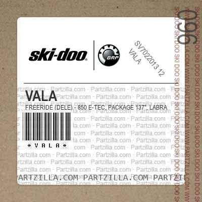VALA FREERIDE (DELE) - 850 E-TEC, Package 137", Labrador Blue, Bright White.. North America