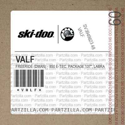VALF FREERIDE (DMAN) - 850 E-TEC, Package 137", Labrador Blue, Bright White.. North America