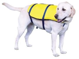 Nylon Pet Vest X-Large, 80+ Lbs, Yellow/Navy