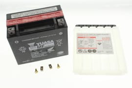 BATTERY YTX20L BS