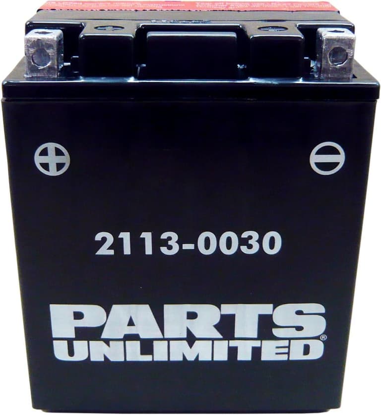 294L-PARTS-UNLIM-21130030 AGM Battery - YTX14AHBS .798L