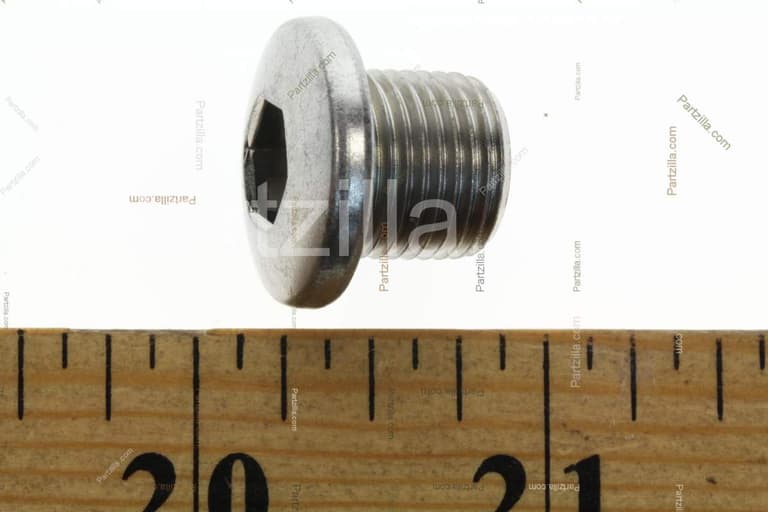 Details about   New Genuine SUZUKI Cylinder Head Oil Gallery 12x12 Socket Head Plug 09248-12004