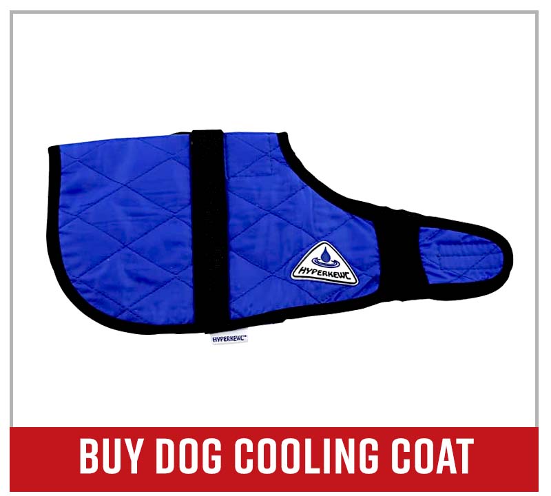 Buy dog cooling vest