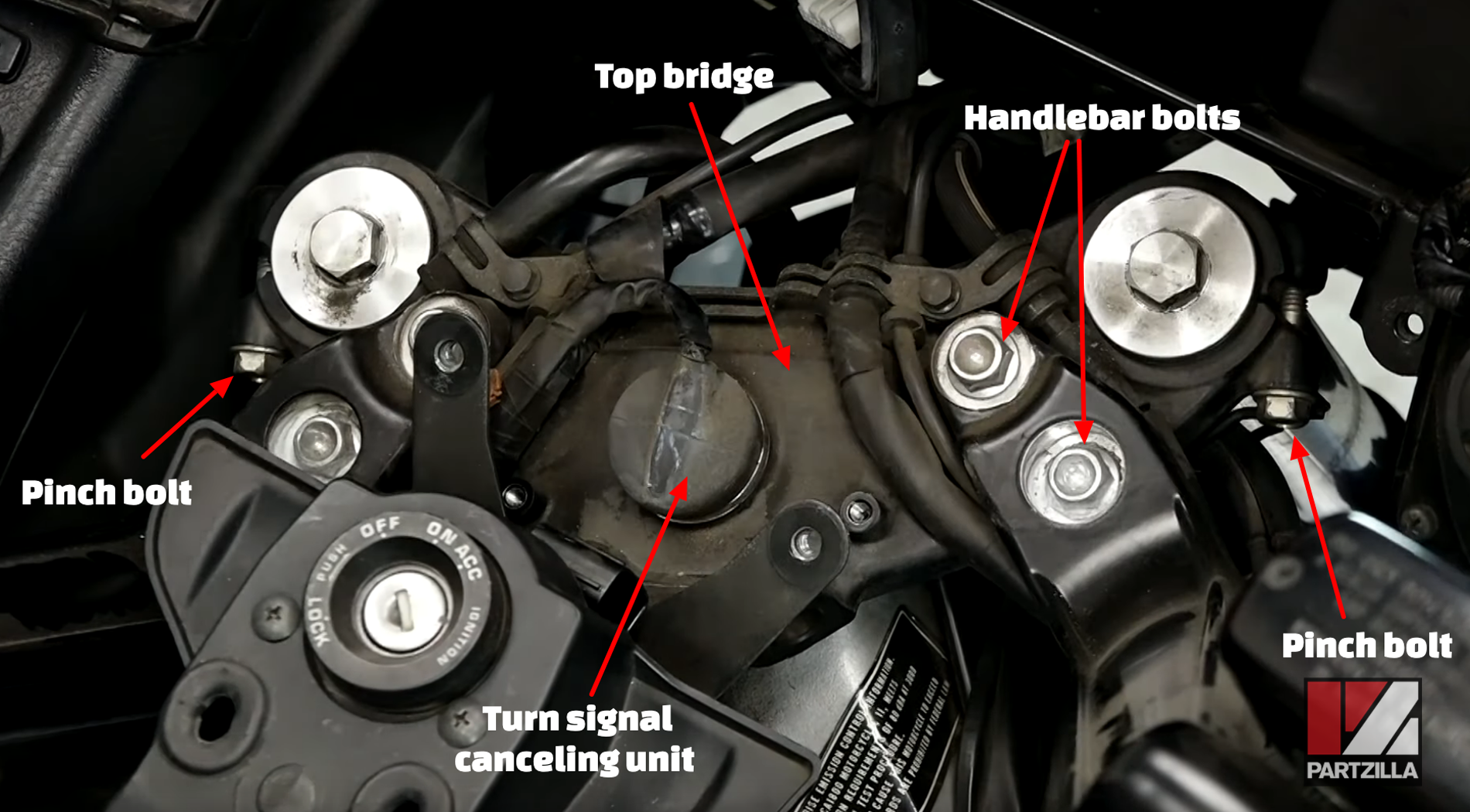 Honda Goldwing steering bearing change