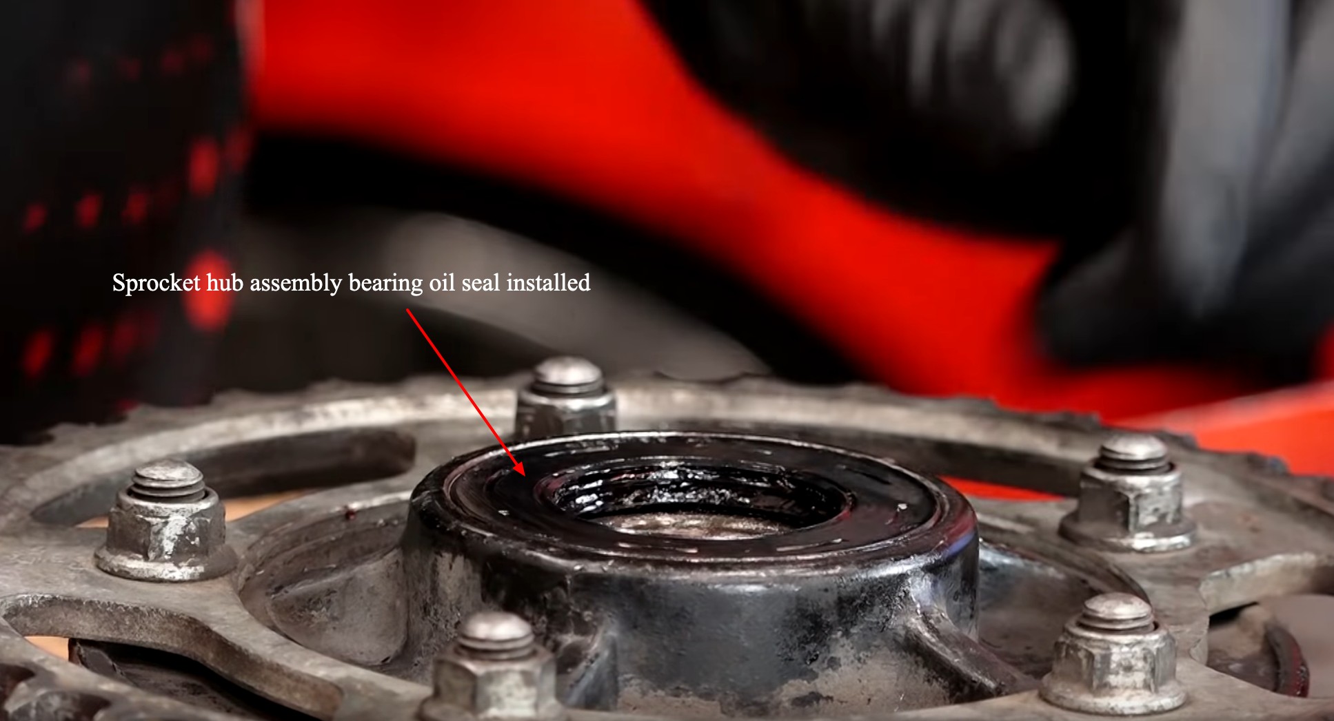 Suzuki GSX rear wheel bearing replacement