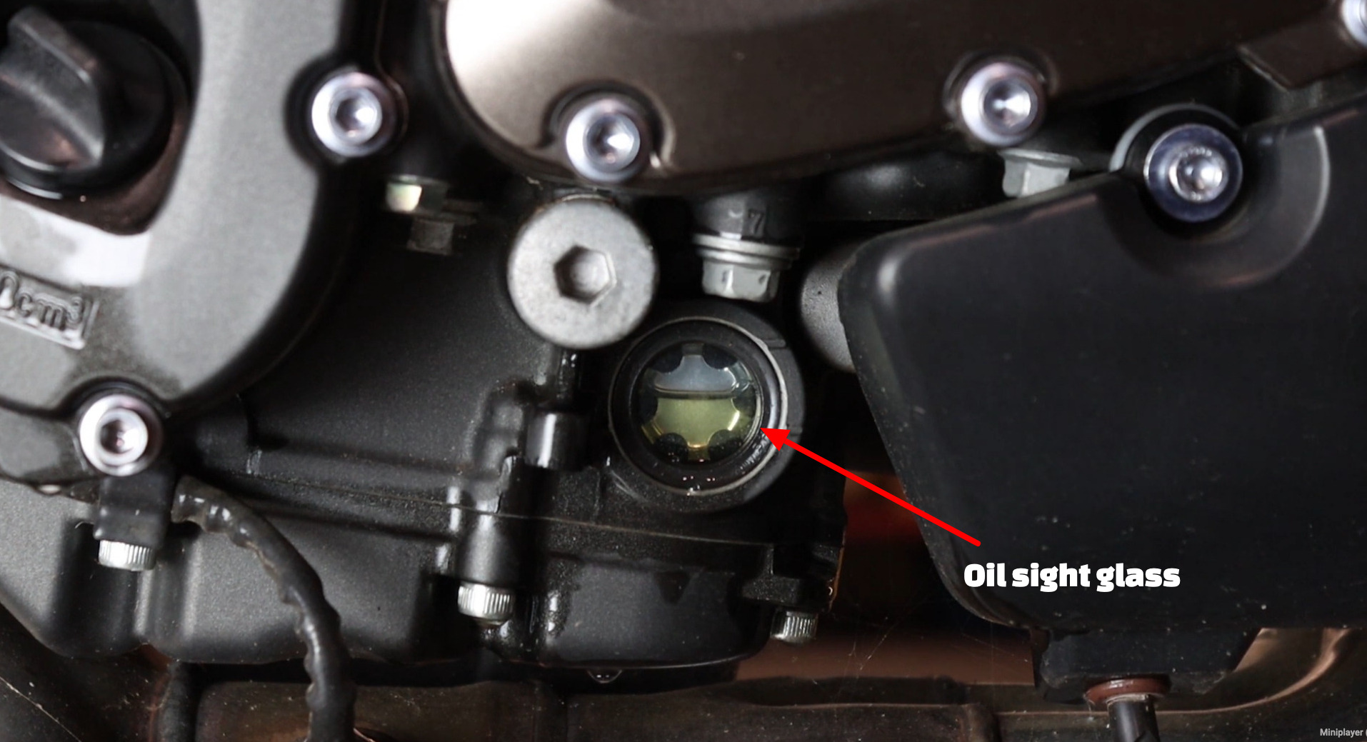 Yamaha FZ-09 oil change level check